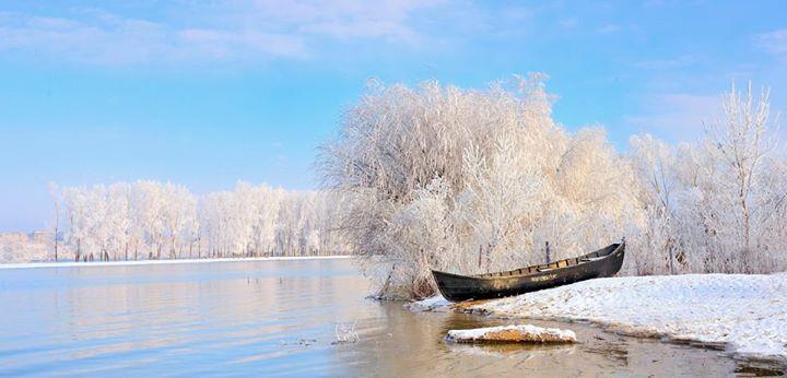 Diverse - img11888251505370.jpeg